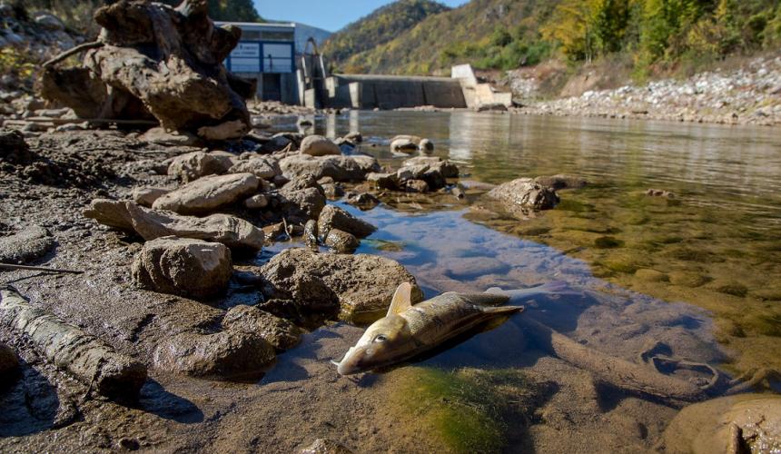 Wasserkraftwerke, v.a. Kleinwasserkraftwerke sind eine der wesentlichen Ursachen für die immer länger werdenden Roten Listen bei den Fischen. Wird der Ausbau nicht gestoppt, würden in den Flüssen des Mittelmeerraumes 186 Fischarten weiter Richtung Aussterben gedrückt werden. © Amel Emric