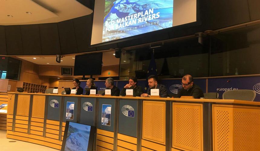 © Vasileios Katsardis