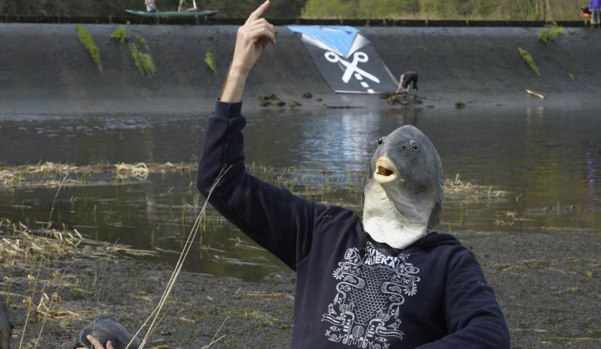 Weg DAMMIT: Der Kamp ist heute an vielen Stellen verbaut und von Wehren unterbrochen. © Matthias Schickhofer