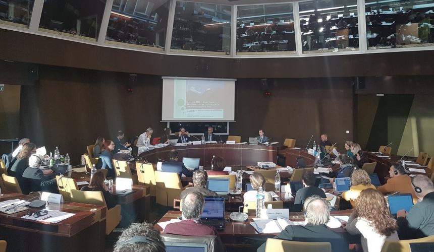At the meeting of the Standing Committee, Council of Europe Strasbourg: Ana Colovic-Lesoska (Eco-sense) presents the Mavrovo case © Aleksandra Bujaroska