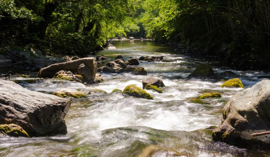 Studenica River © Tijana Jevtić