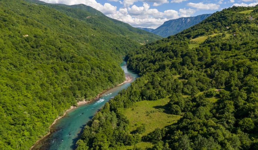Obere Drina: Dieser noch frei fließende Flussabschnitt würde durch das Buk-Bijela-Stauseeprojekt unter Wasser gesetzt werden. © Bruno D’Amicis