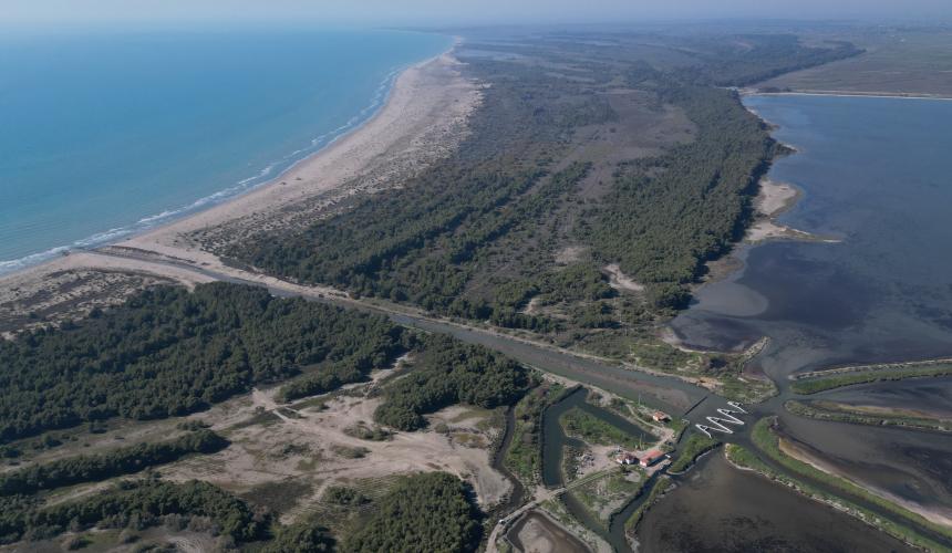 Vjosa-Narta Protected Landscape, part of the most valuable wild river delta in Europe. Photo: A. Roshi