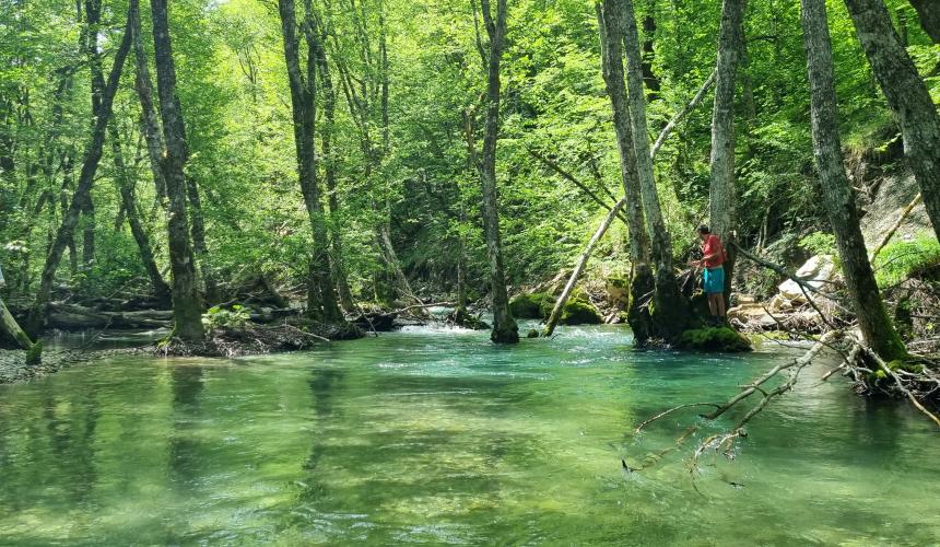 Upper Neretva Stream near Cerovo © Ivana Milakovic