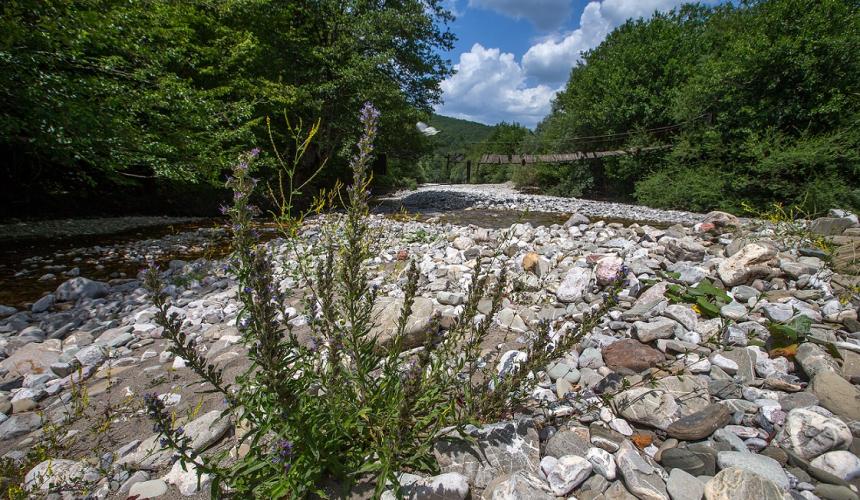 Kiesbänke und eine alte Holzbrücke markieren einen der Standorte für die Feldarbeit. © Gernot Kunz