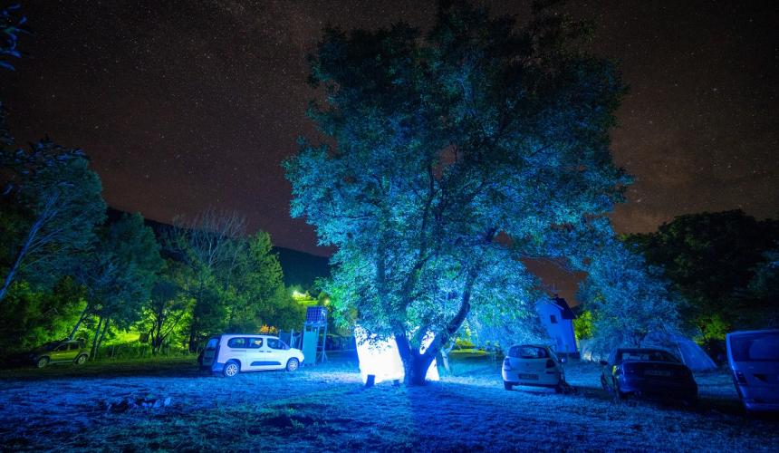Das blaue Licht lockt Unmengen von Insekten unter einem ungetrübten Sternenhimmel an. © Vladimir Tadić