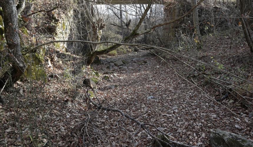 So sieht das Flussbett unterhalb des Staudamms aus © Amel Emric