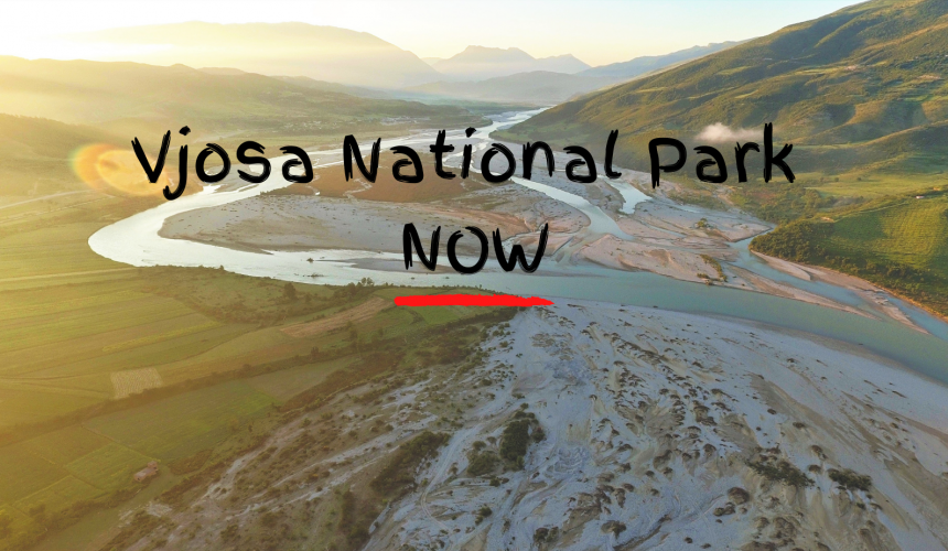 We call on the Albanian government to act on their promise and create the Vjosa Wild River National Park © Gregor Subic