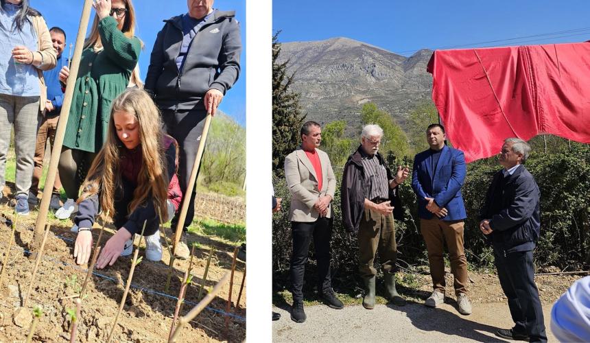 Left: Schools and local communities are also involved in the ReForestVjosa project. Right: At the inauguration, an information board about the nursery was revealed by Tërmet Peçi - Mayor of Tepelena, Dr. Anton Drescher - lead scientist of the ReForestVjosa project, Olsi Nika – EcoAlbania and Mihallaq Qirjo - project coordinator of the project. (LTR) © Elona Shkembi/EcoAlbania © Elona Shkembi/EcoAlbania