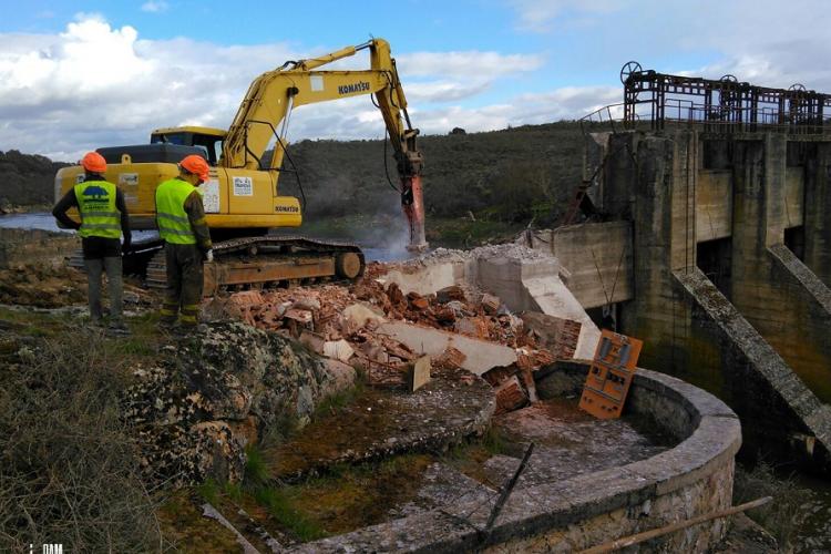 The removal of the 22 meters high Yecla de Yeltes dam on the Huebra River began in April 2018. 27 Km of river were reconnected, benefitting endangered fishes, otters, turtles and many other species. © Hermann Wanningen