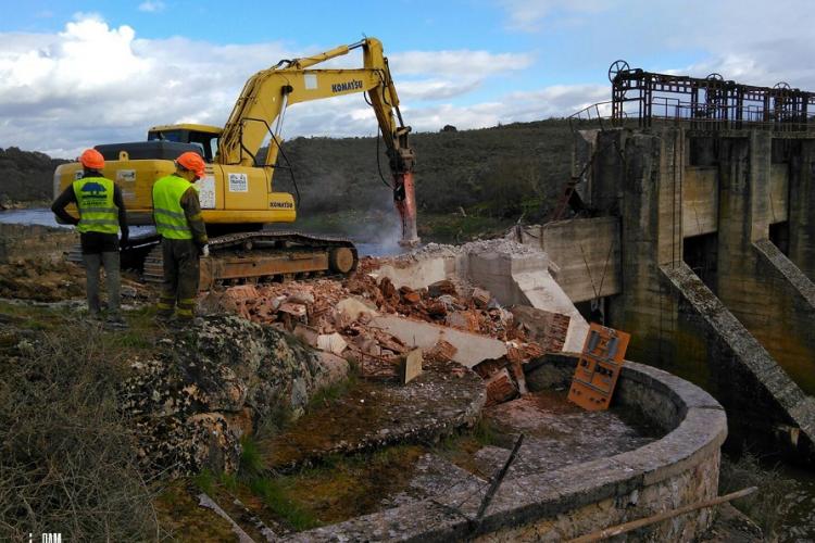 The removal of the 22 meters high Yecla de Yeltes dam on the Huebra River began in April 2018.  27 Km of river were reconnected, benefitting endangered fishes, otters, turtles and many other species. © Hermann Wanningen