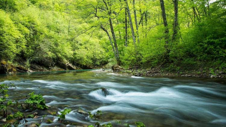 The planned HPPs would turn most of the upper part of the river into a series of end-to-end dams, pipes and reservoirs. © Amel Emric