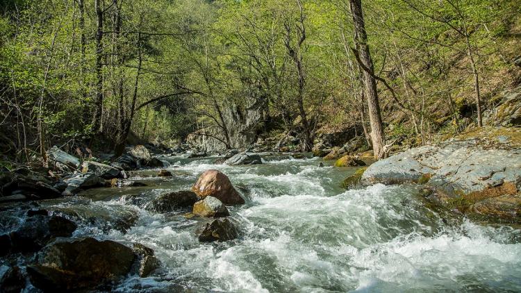 Neretvica: Entlang dieses unberührten Flusses sind 15 Wasserkraftwerke geplant. Mit der Entscheidung in der Föderation von Bosnien-Herzegowina werden all diese Projekte geprüft. © Amel Emric