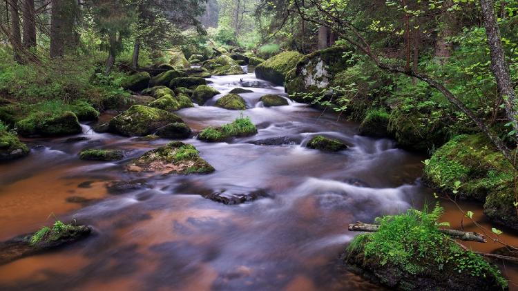 Kleine Kamp © Anonym