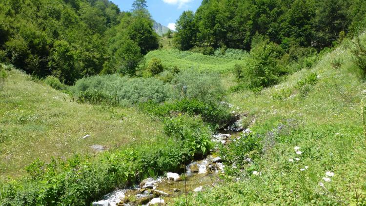 Der Mavrovo-Nationalpark in Nordmazedonien ist ein Hotspot der Artenvielfalt. Wasserkraftprojekte bedrohen die Artenvielfalt. © Theresa Schiller 