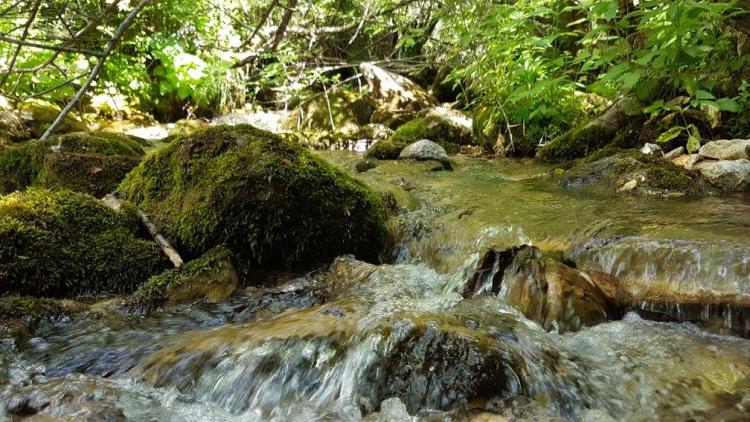 Ein Wasserkraftwerk am Fluss Zirovnicka im Mavrovo-Nationalpark wurde eingestellt, weitere sind jedoch geplant. Der Kampf geht weiter. © Front 21/42