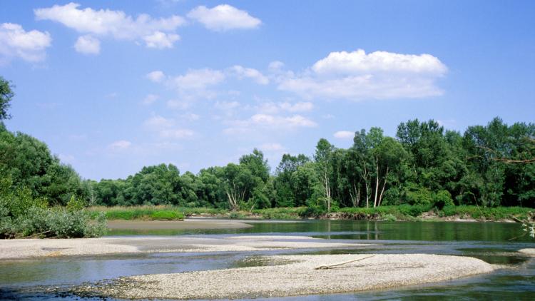 Natural riverscape of the Mura © A. Mohl / WWF