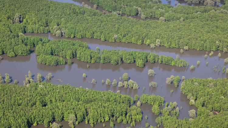 Die Save-Auen bieten ein einzigartiges Potenzial für natürlichen Hochwasserschutz © Goran Šafarek