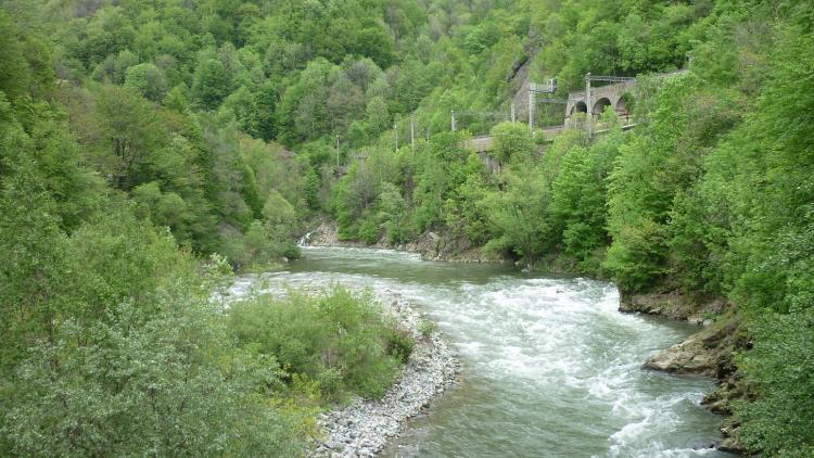 Fluss Jiu in der Jiu Schlucht © Calin Dejeu