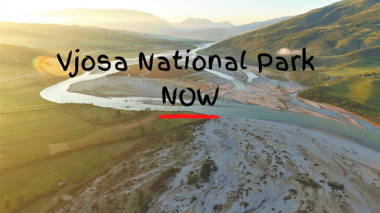 We call on the Albanian government to act on their promise and create the Vjosa Wild River National Park © Gregor Subic