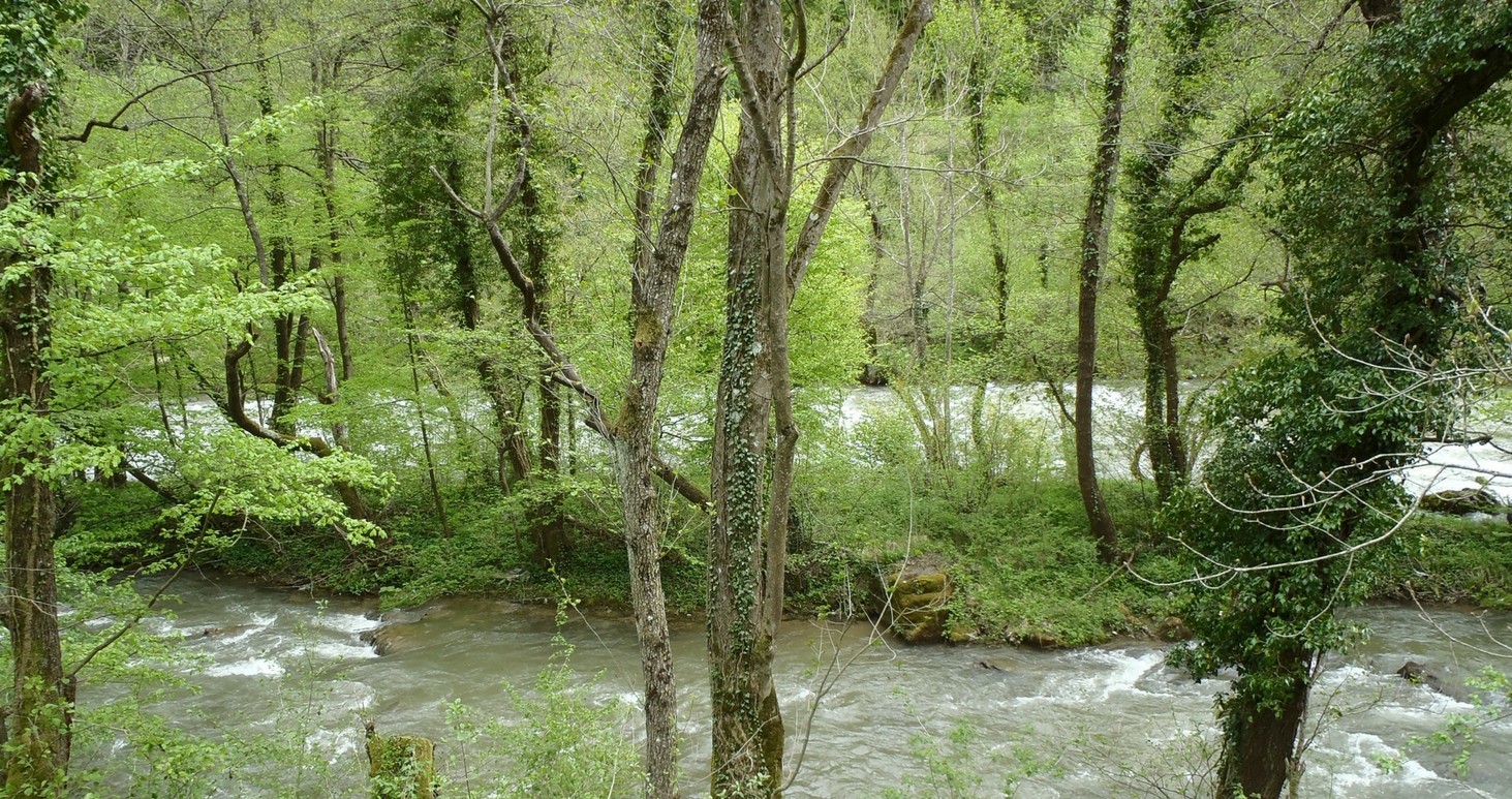 The river Vrbas in the area of the planned dam. © Pippa Gallop