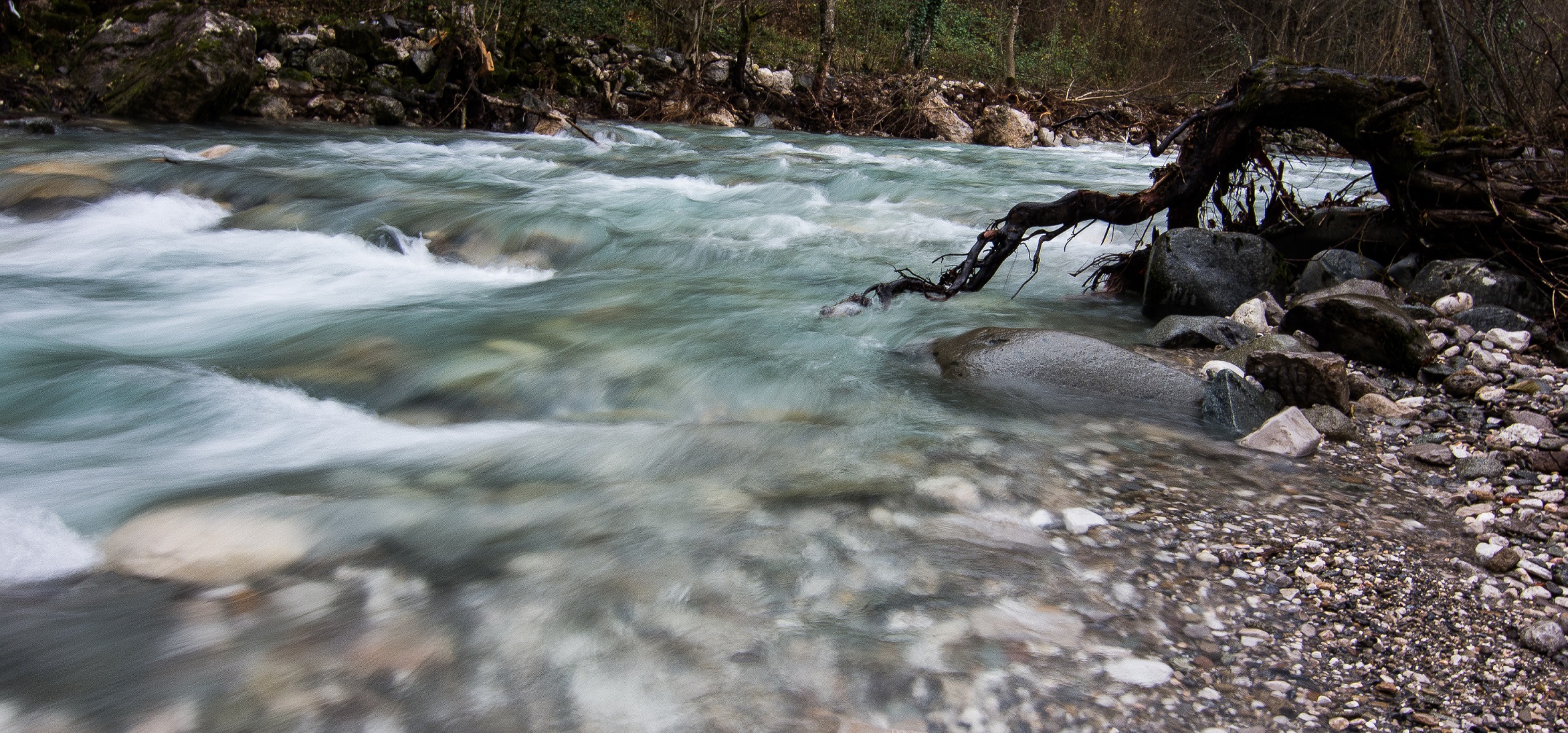 The Doljanka river in Bosnia and Herzegovina is at risk. Sign the petition! © Anes Podic 