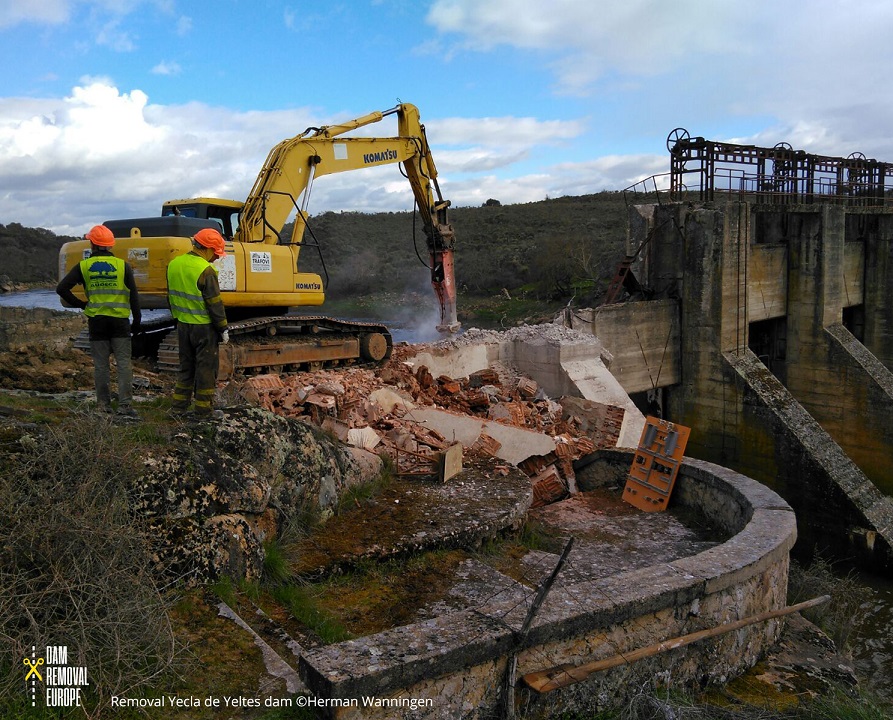 Im April 2018 begann der Abriss des 22 Meter hohen Yecla de Yeltes Damms auf dem Fluss Huebra. 27 Km Flusslauf konnten für bedrohte Fische, Otter, Schildkröten und viele andere Arten gewonnen werden. © Hermann Wanningen